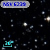 NSV  6239