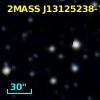 2MASS J13125238-7739182