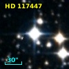 HD 117447