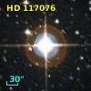 HD 117076