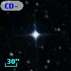 CD-80   494