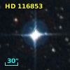 HD 116853