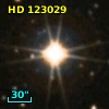 HD 123029