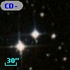 CD-81   551