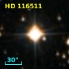 HD 116511