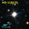 HD 118125