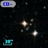 CD-80   497