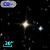 CD-80   513