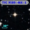 TYC 9509-466-1