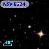 NSV  6524