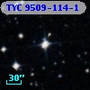 TYC 9509-114-1