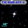 TYC 9509-677-1