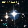 HD 124062