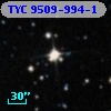 TYC 9509-994-1