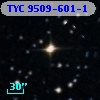 TYC 9509-601-1
