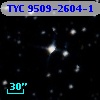 TYC 9509-2604-1