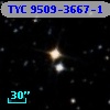 TYC 9509-3667-1