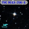 TYC 9513-256-1