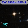 TYC 9530-1205-1