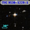 TYC 9530-1229-1