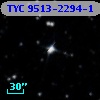 TYC 9513-2294-1