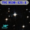 TYC 9530-125-1