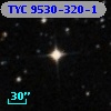 TYC 9530-320-1