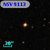 NSV  8113