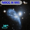 NOGG H  885