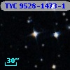 TYC 9528-1473-1