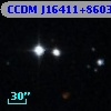 CCDM J16411+8603B