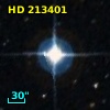 HD 213401