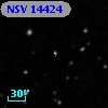 NSV 14424