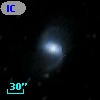 IC 5323