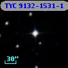 TYC 9132-1531-1