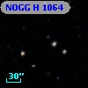 NOGG H 1064