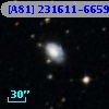 [A81] 231611-6659A