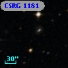 CSRG 1181
