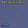 TYC 9131-170-1