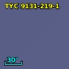 TYC 9131-219-1