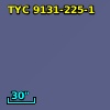 TYC 9131-225-1