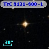 TYC 9131-800-1
