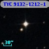 TYC 9132-1212-1