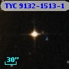 TYC 9132-1513-1