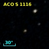 ACO S 1116