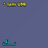 V* lam UMi