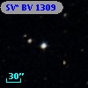 SV* BV  1309