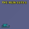 TYC 9126-1173-1