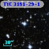 TYC 3181-29-1