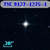 TYC 9127-1275-1